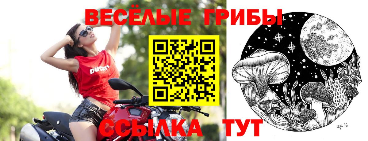 Галлюциногенные грибы мухоморы Кудымкар